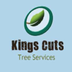 Tree Surgeons in Romford, Essex & Dagenham - Kings Cuts photo